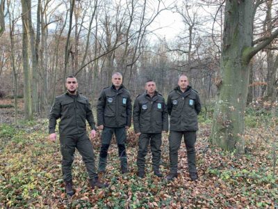 fruska-gora-viking-1