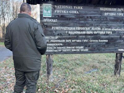 fruska-gora-viking-3